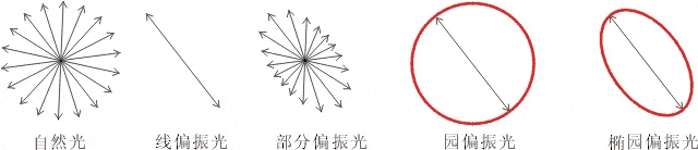 什么是偏振光？偏振光是如何完成檢測的？