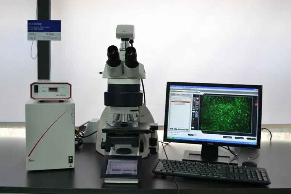 濾光片是如何決定顯微鏡成像性能的？