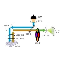 什么是熒光定量PCR、數(shù)字PCR？