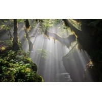 光的干涉、衍射、折射、反射、散射